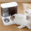 Distributore automatico di cibo e acqua per animali domestici, accessori per lettiera per cani e gatti 3