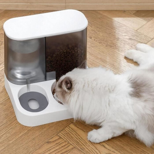 Distributore automatico di cibo e acqua per animali domestici, accessori per lettiera per cani e gatti 2