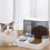 Distributore automatico di cibo e acqua per animali domestici, accessori per lettiera per cani e gatti 1