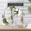 Plant Propagation Buddy, supporto per fusti e talee, per vivaio o giardino 3