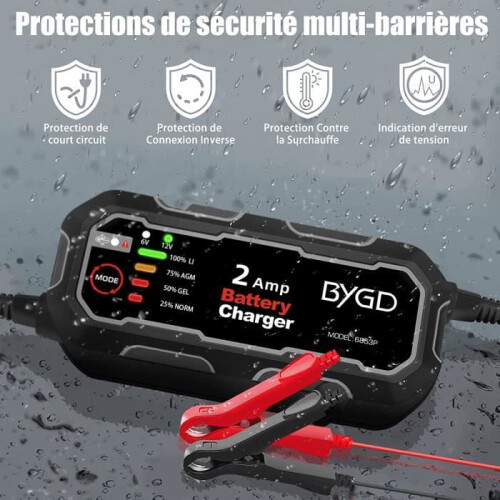 Caricabatterie automatico intelligente 6V/12V 2000mA per auto, moto, barca 1