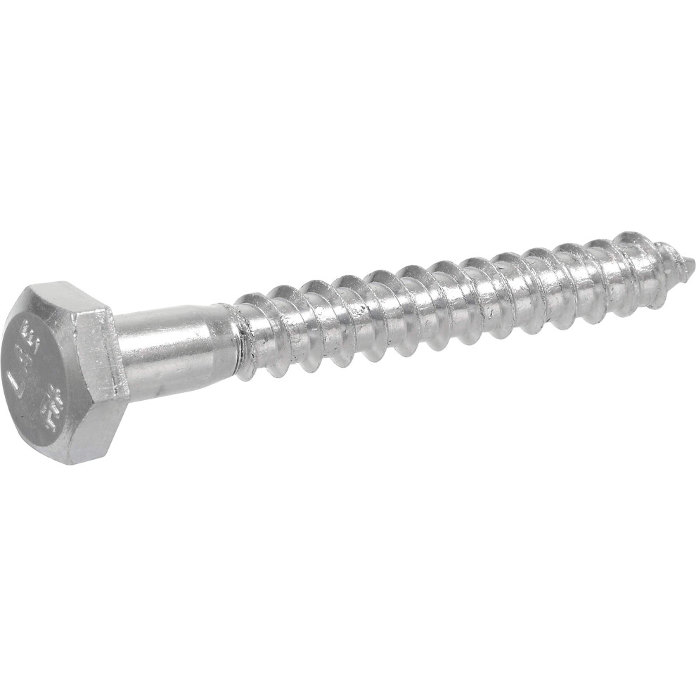 Zinc Hex Lag Screw 5/16' X 3' 940534625976