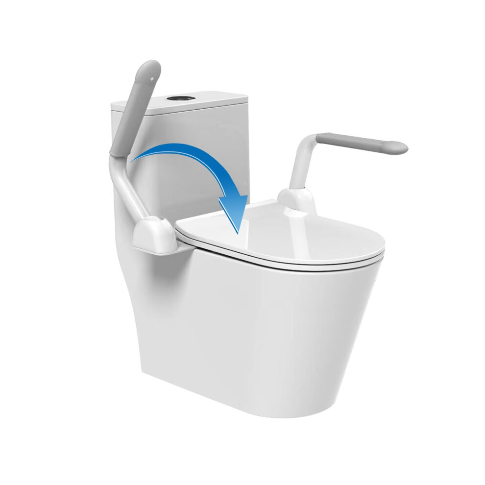 Toilet Safety Rails for Elderly,Handicap Toilet Seat with Foldable Handles,Toilet Rails for Seniors
