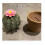 Forgecore Spikey Spices - Mini Cute 3D Printed Cactus Salt and Pepper Shakers 5