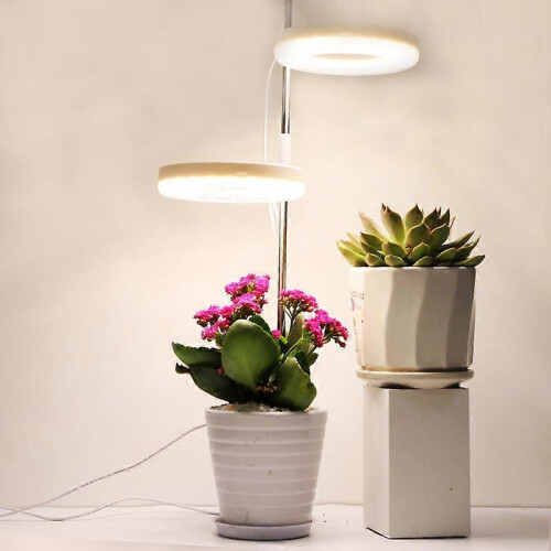 USB Charging Full Light Plant Light w/ Brightness Adjustable, Led Growing Lamp for Plants 2