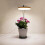 USB Charging Full Light Plant Light w/ Brightness Adjustable, Led Growing Lamp for Plants 14