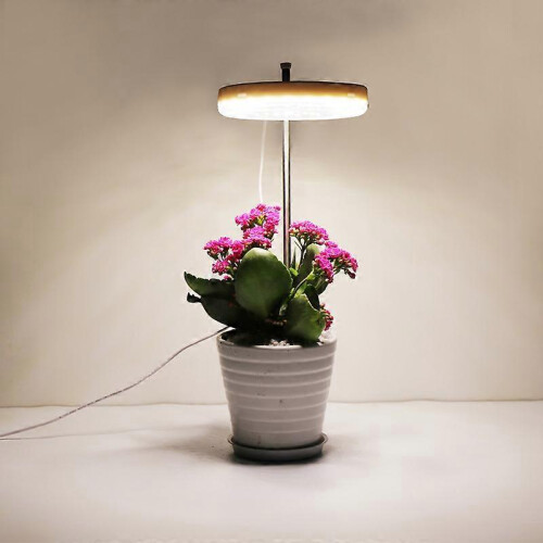 USB Charging Full Light Plant Light w/ Brightness Adjustable, Led Growing Lamp for Plants 1
