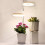 USB Charging Full Light Plant Light w/ Brightness Adjustable, Led Growing Lamp for Plants 19