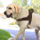 (L:Chest 65-81cm, Brown) No Pull Adjustable Pet Dog Harness Front Leading with Metal Buckle 4