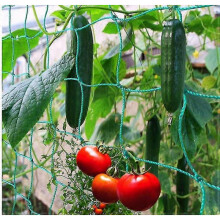(180 X 180cm) 5 Pack Trellis Netting For Climbing Plants - Heavy Duty Garden Trellis Netting