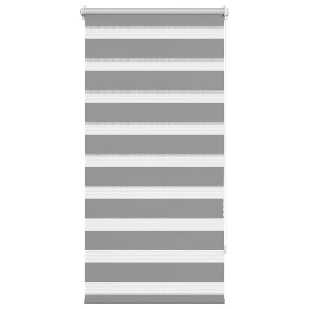 Vidaxl Zebra Blind 60X120cm Home Daynight Roller Window Sunscreen Shade Grey