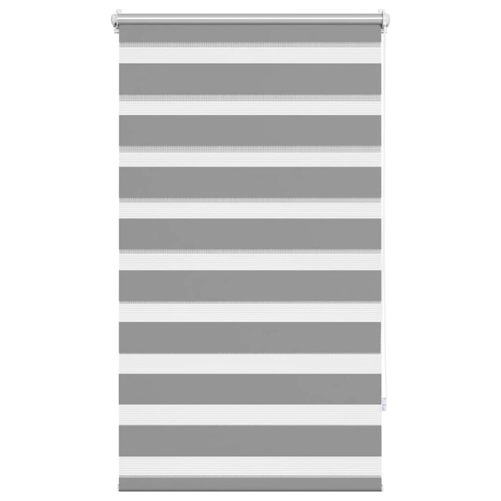 Vidaxl Zebra Blind 70X120cm Home Daynight Roller Window Sunscreen Shade Grey