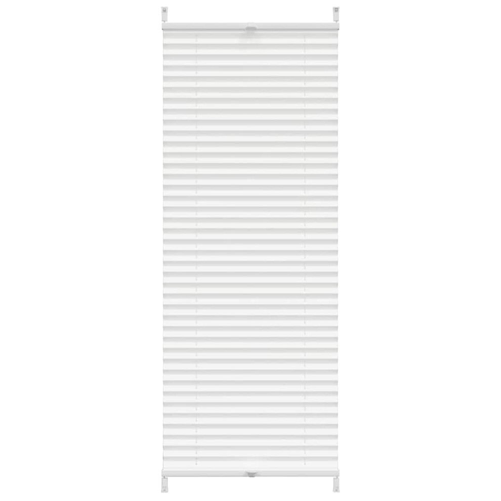 White Pleated Blind 60x100cm - Top & Bottom Adjustable, Clamp Mount, Crepe Fabric, UV Sun Protection