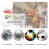 Dual Action Extra Battery Airbrush Kit with Compressor Replaceable Battery Cordless Air Brush Set f 3