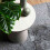 VidaXL vidaXL Teppich Shaggy Hochflor NAVARRA Hellgrau 200x200 cm Polyester 8