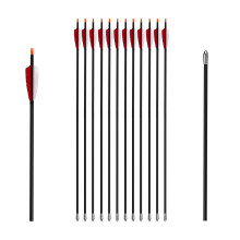 30' Carbon Hunting Arrows Archery Target Practice Arrows with 4' Turkey Feathers Spine 500 for Recurve Bow and Compound Bow(Pack of 12)