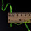 5pcs 3mm Wide Flat Diamond Braid with Pearlescent Tones Flat Mylar Braid Shrimp Flashback Fly Tying Materials 2