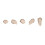 Jane Iredale jane iredale PurePressed Base SPF 20 Refill, Satin, 0.35 Ounce (1-pack) 2