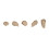 Jane Iredale Jane Iredale PurePressed Base Mineral Foundation SPF 20, Riviera - Refill 2