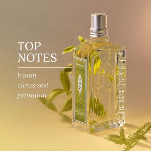 L'Occitane L'Occitane Verbena Roll-on Eau de Tobectette 0,33 fl. Oz. 2