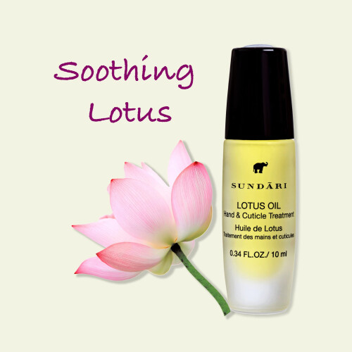SUNDRI Lotus Handl 0,3 Flssigunze 1