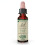 Bach, Original Blüten-Essenzen, Tausendgüldenkraut, 0,35 fl oz (10 ml) 1