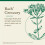 Bach, Original Blüten-Essenzen, Tausendgüldenkraut, 0,35 fl oz (10 ml) 3