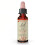 Bach, Original Blüten-Essenzen, Rote Kastanie, 0,35 fl oz (10 ml) 1