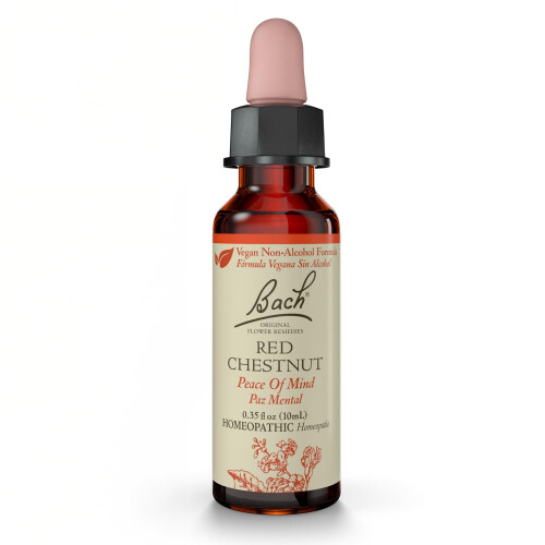 Bach, Original Blüten-Essenzen, Rote Kastanie, 0,35 fl oz (10 ml)