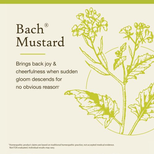 Bach, Original Blüten-Essenzen, Senf, 0,35 fl oz (10 ml) 2