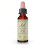 Bach, Original Blüten-Essenzen, Senf, 0,35 fl oz (10 ml) 1