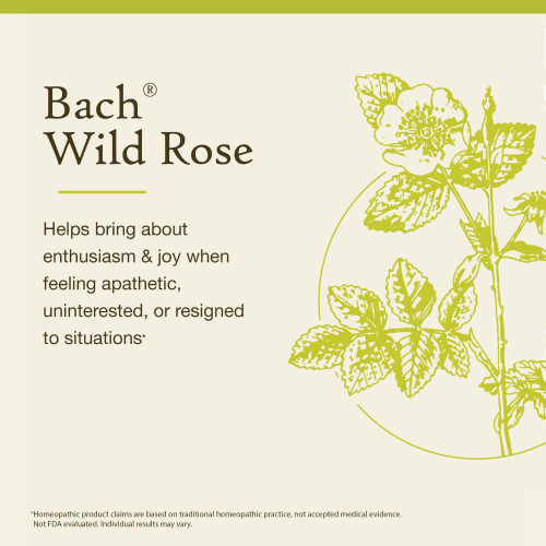 Bach, Original Blüten-Essenzen, Heckenrose, 0,35 fl oz (10 ml) 2