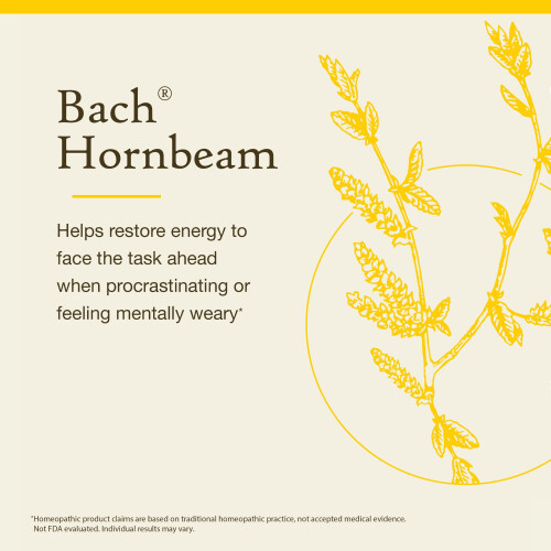 Bach, Original Blüten-Essenzen, Hainbuche, 0,35 fl oz (10 ml) 2