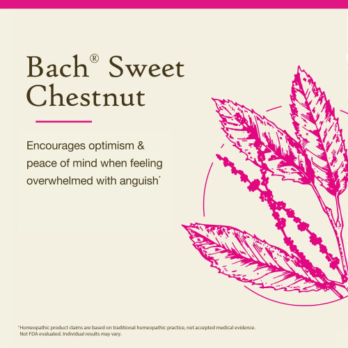 Bach, Original Blüten-Essenzen, Edelkastanie, 0,35 fl oz (10 ml) 2