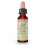 Bach, Original Blüten-Essenzen, Knäuel, 0,35 fl oz (10 ml) 1