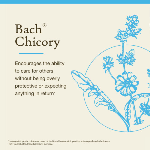 Bach, Original Blüten-Essenzen, Wegwarte, 0,35 fl oz (10 ml) 2