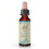 Bach, Original Blüten-Essenzen, Weinrebe, 0,35 fl oz (10 ml) 1