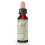 Bach, Original Blüten-Essenzen, Wegwarte, 0,35 fl oz (10 ml) 1