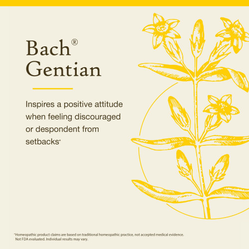 Bach, Original Blüten-Essenzen, Herbstenzian, 0,35 fl oz (10 ml) 2