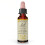 Bach, Original Blüten-Essenzen, Herbstenzian, 0,35 fl oz (10 ml) 1