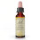 Bach, Original Blüten-Essenzen, Cerato, 0,35 fl oz (10 ml) 1