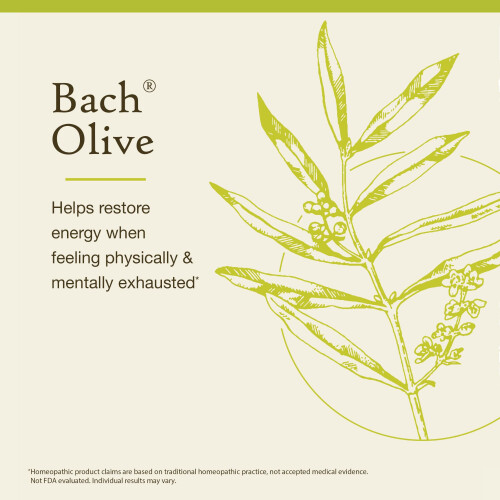 Bach, Original Blüten-Essenzen, Olive, 0,35 fl oz (10 ml) 2