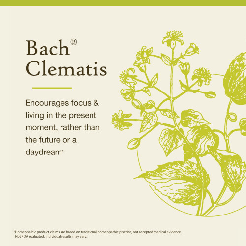 Bach, Original Blüten-Essenzen, Waldrebe, 0,35 fl oz (10 ml) 2