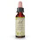 Bach, Original Blüten-Essenzen, Waldrebe, 0,35 fl oz (10 ml) 1