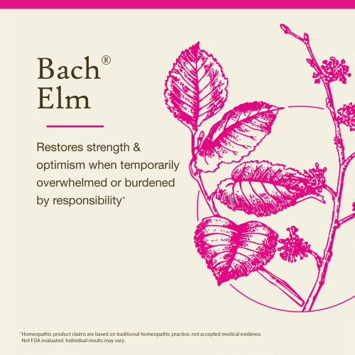 Bach, Original Blüten-Essenzen, Ulme, 0,35 fl oz (10 ml) 2