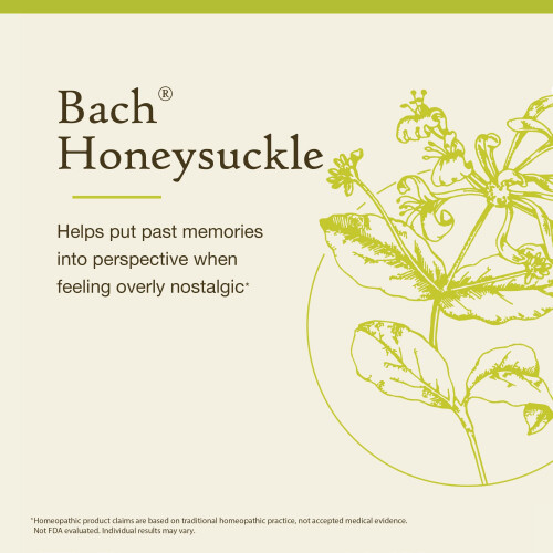 Bach, Original Blüten-Essenzen, Geißblatt, 0,35 fl oz (10 ml) 2