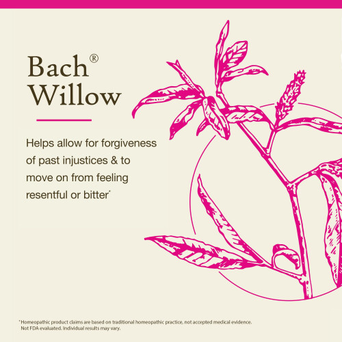 Bach, Original Blüten-Essenzen, Weide, 0,35 fl oz (10 ml) 2