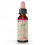 Bach, Original Blüten-Essenzen, Doldiger Milchstern, 0,35 fl oz (10 ml) 1
