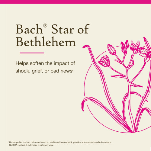 Bach, Original Blüten-Essenzen, Doldiger Milchstern, 0,35 fl oz (10 ml) 2