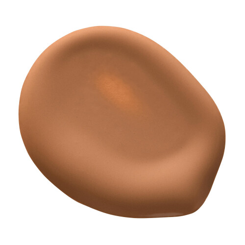 Trish McEvoy Gorgeous Foundation: Farbton 8MG 30ml/1 oz 2
